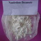 Polvo crudo anabólico 360-70-3 de Decanoate Deca Durabolin del Nandrolone del polvo de los esteroides del 99%