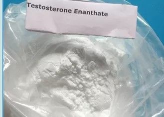 Polvo de Enanthate de la testosterona del polvo el 99% de los esteroides anabólicos usado para muscle el edificio 315-37-7