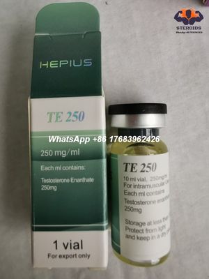 Testosterona inyectable Enanthate 250mg/ml 315-37-7 de los esteroides anabólicos